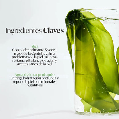 BIODANCE «Refreshing Sea Kelp Real Deep Mask»