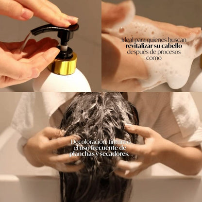 Elizavecca » CER-100 Collagen Coating Hair A+ Muscle Shampoo «