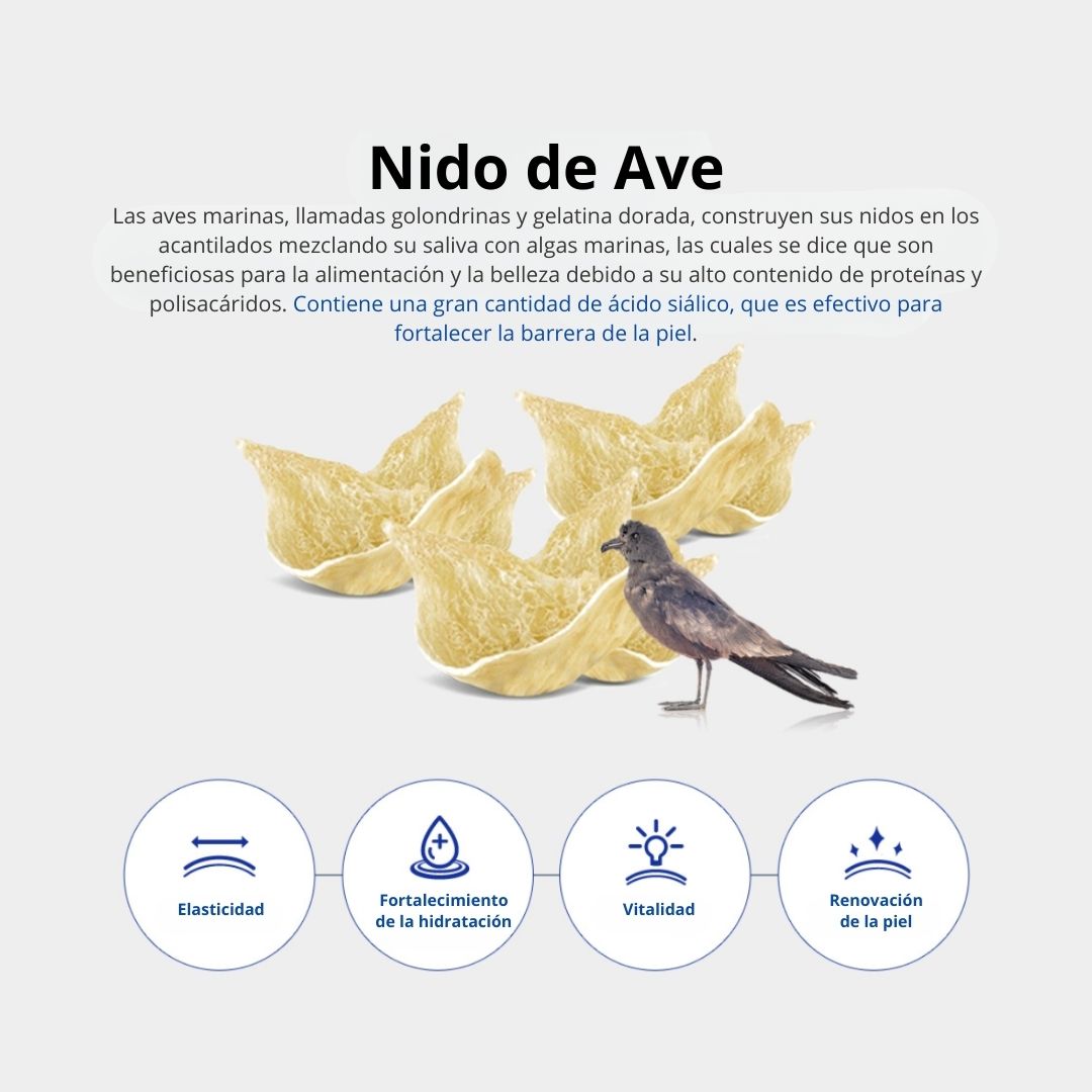 SNP Mascarilla «Bird’s Nest Aqua Ampoule Mask»